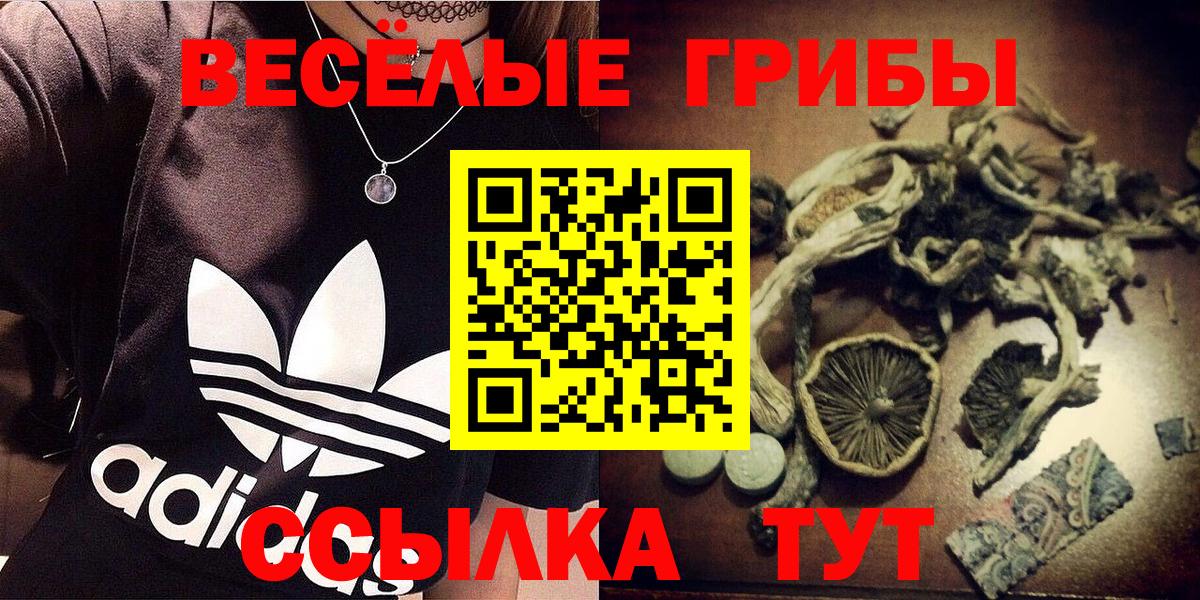 Галлюциногенные грибы Psilocybine cubensis Северск